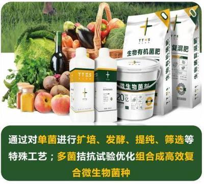 從辣椒加工到菌肥生產，她用五年搶占南方市場！_南方plus_南方+生物有機肥料研發