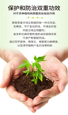 土傳病害克星 復合微生物菌劑與抗重茬技術的前沿研發(fā)