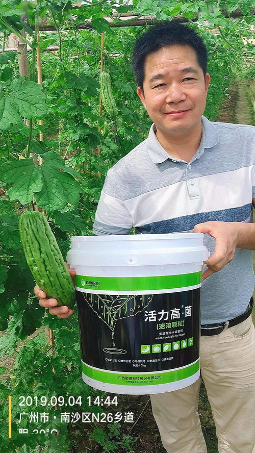 三效合一，增效顯著 活力高R菌、黃腐酸、魚(yú)蛋白復(fù)合菌劑引領(lǐng)微生物肥料新突破